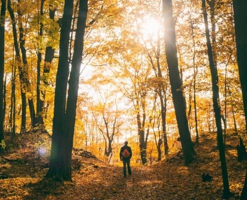 Hiker standing in autumn forest photo by Aaron Burden on Unsplash